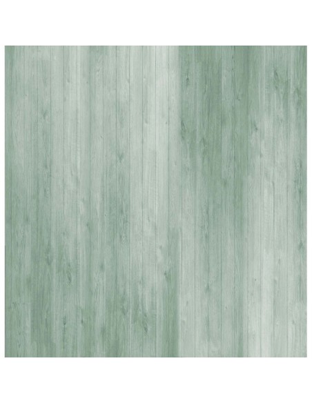 COLECCIÓN "SINGULAR" 12"x12"