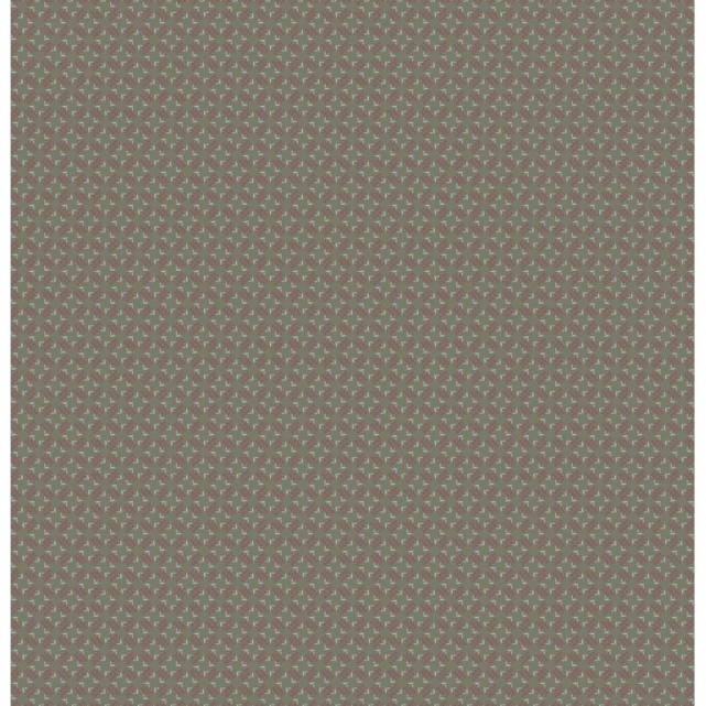 COLECCIÓN SINGULAR - MARISA BERNAL