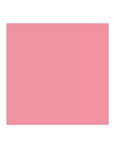 CRICUT SMART IRON-ON ROSA... 2