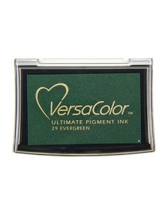 TINTA VERSA COLOR - EVERGREEN