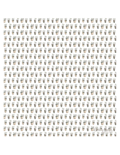 PAPEL VELLUM - MACETAS PARA...