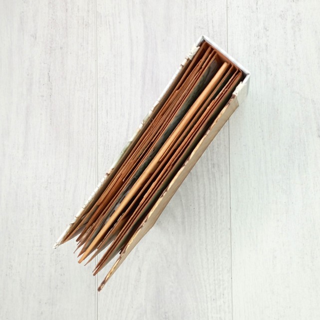 ÁLBUM SCRAP - "RUSTIC"