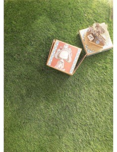 ÁLBUM CAJA DESPLEGABLE - AL... 2