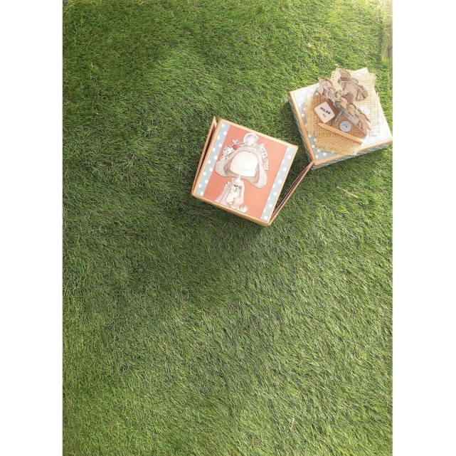 ÁLBUM CAJA DESPLEGABLE - AL COLE