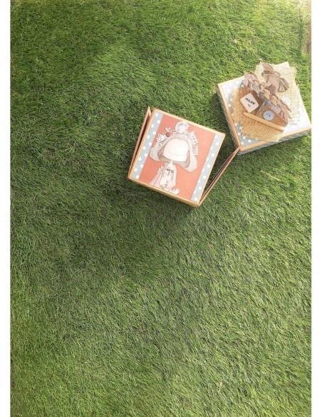 ÁLBUM CAJA DESPLEGABLE - AL COLE