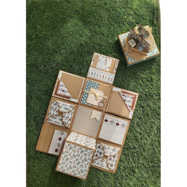 ÁLBUM CAJA DESPLEGABLE - AL COLE