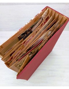 ÁLBUM SCRAP - "ACADEMIA" 2