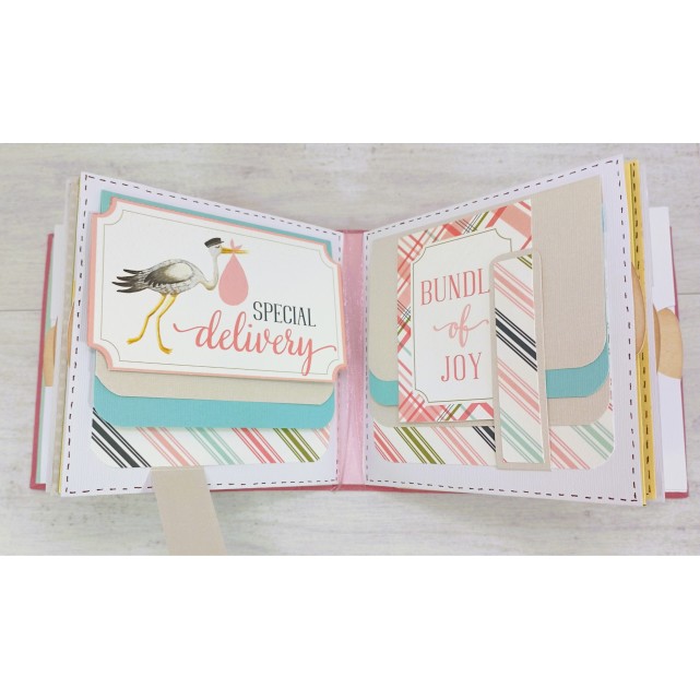 ÁLBUM SCRAP - " BEBÉ NIÑA"