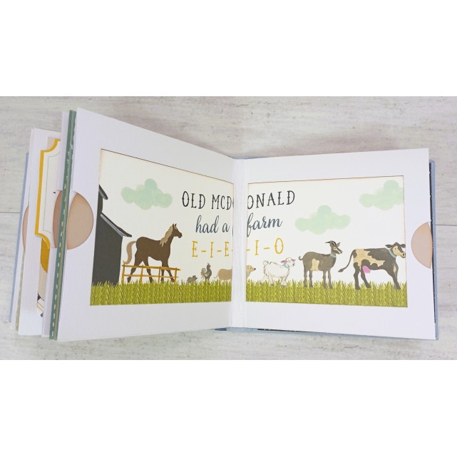 ÁLBUM SCRAP - " BEBÉ NIÑO"