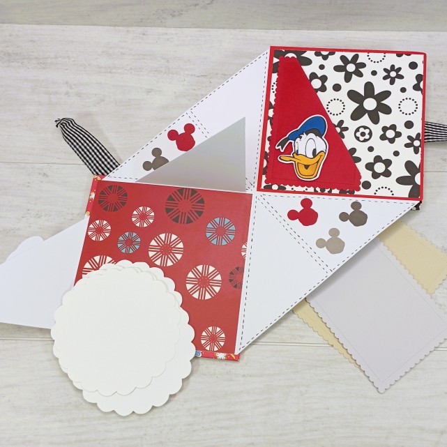 ÁLBUM DESPLEGABLE - "MINNIE"