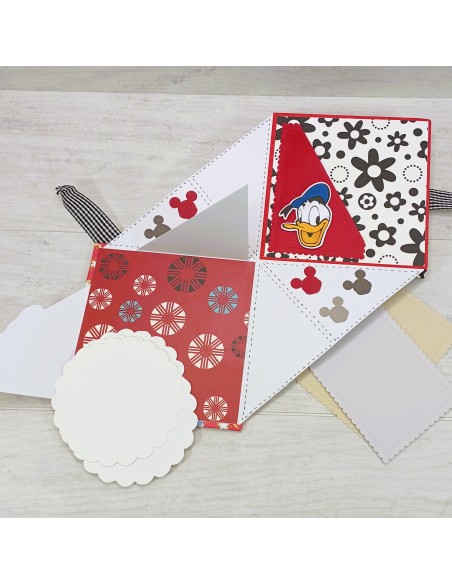 ÁLBUM DESPLEGABLE - "MINNIE"