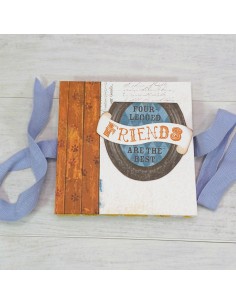 ÁLBUM DESPLEGABLE - "AMIGO...