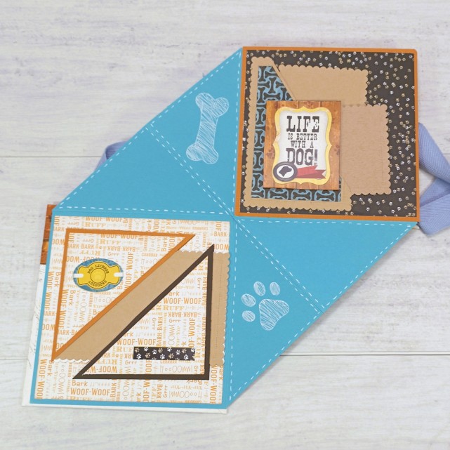 ÁLBUM DESPLEGABLE - "AMIGO DE 4 PATAS"