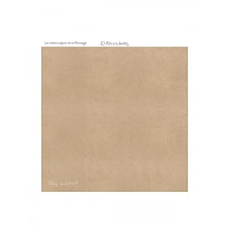 COLOR BÁSICO PÉTALOS DE DIWIN 4-P