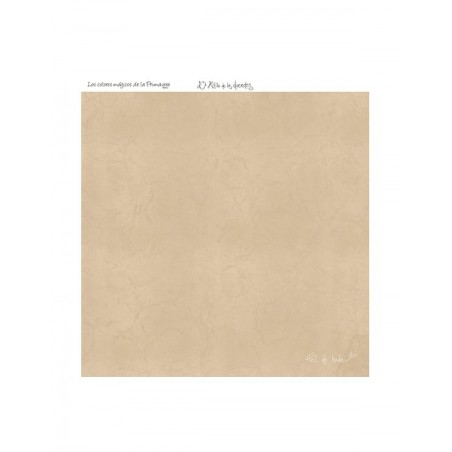 COLOR BÁSICO PIEL DE HADA 5-P