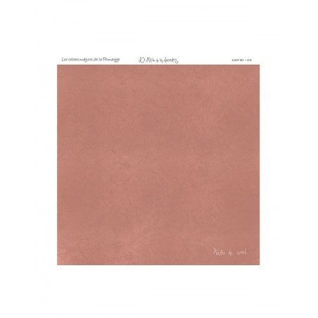 COLOR BÁSICO ANILLO DE CORAL 12-P