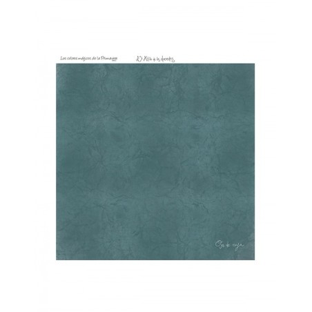 COLOR BÁSICO OJOS DE NINFA 13-P