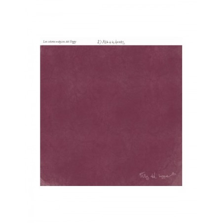 COLOR BÁSICO FRUTOS DEL BOSQUE 7 O