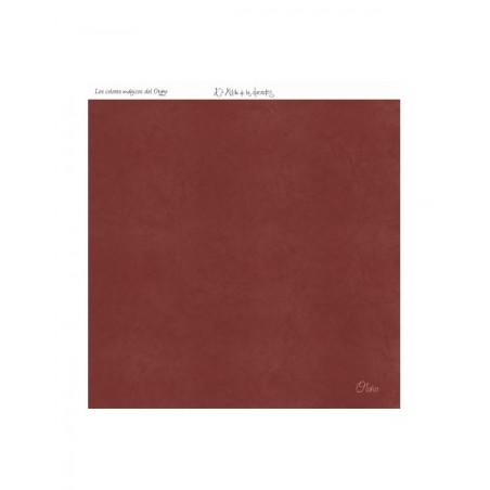 COLOR BÁSICO OTOÑO 12 O