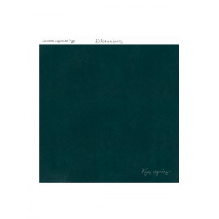 COLOR AGUAS PROFUNDAS 13 O