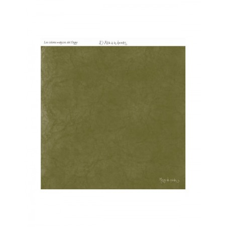 COLOR MUSGO DE PIEDRA 18 O