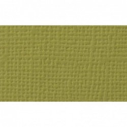 CARTULINA TEXTURIZADA PISTACHO