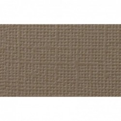 CARTULINA TEXTURIZADA CARNE