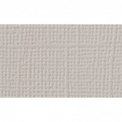 CARTULINA TEXTURIZADA HUESO