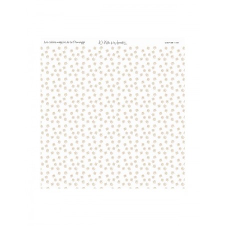 COLOR BÁSICO PIEL DE HADA 5-P