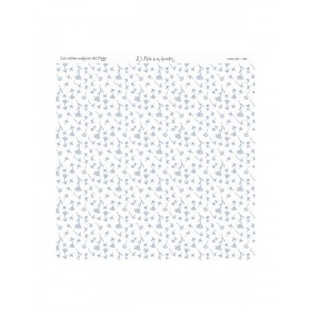 COLOR BÁSICO LAGO SERENO 1-O