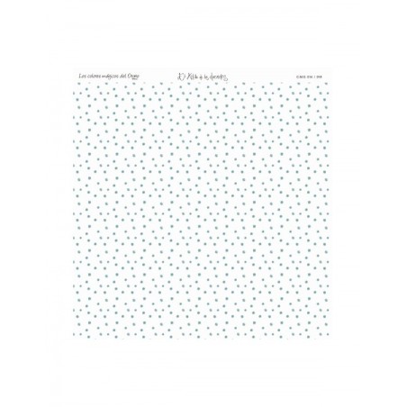 COLOR ZAPATOS DE TOPACIO 14 O