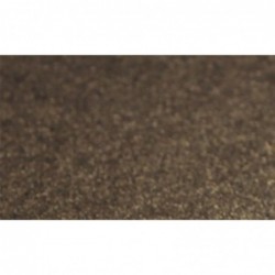 Cartulina perlada lisa -...